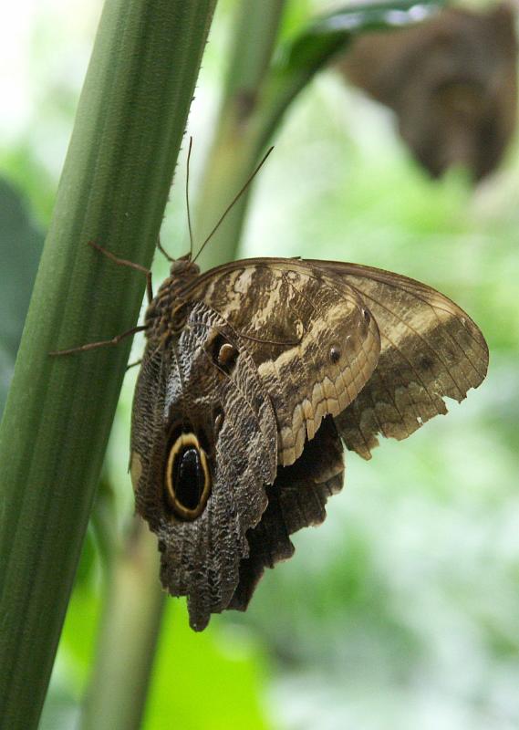 PICT0061.JPG - KONICA MINOLTA DIGITAL CAMERA