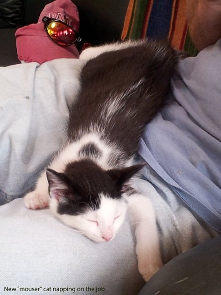 P1020619-2.jpg - User comments