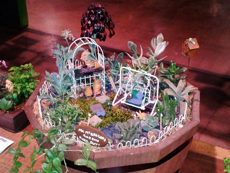 100.jpg - User comments