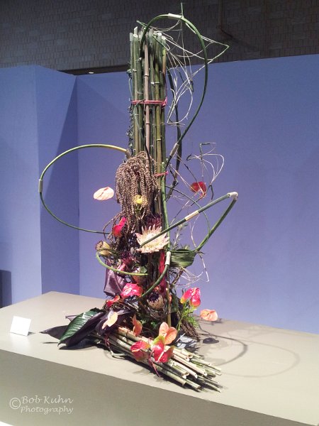 142-2.jpg - User comments