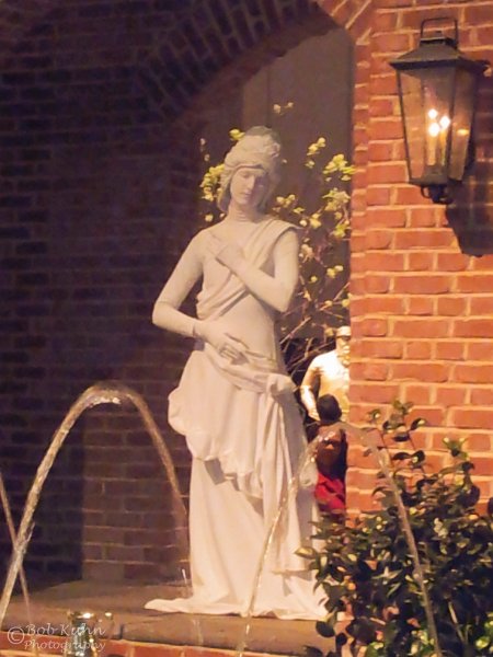 204-2.jpg - User comments