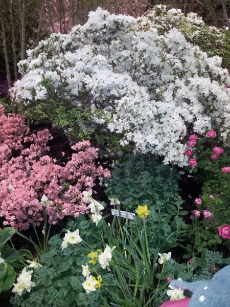 30.jpg - User comments