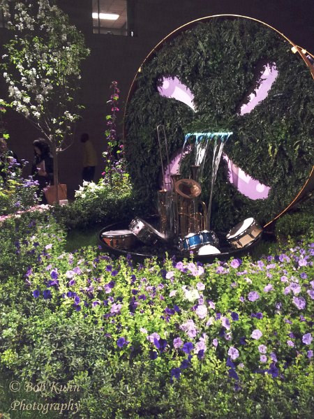 50-2.jpg - User comments