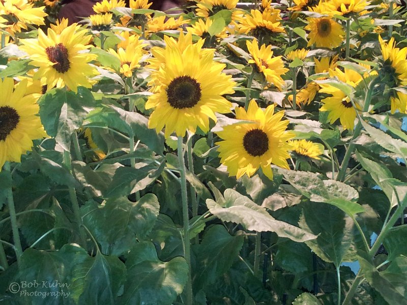 57-2.jpg - User comments