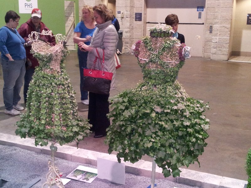 78.jpg - User comments