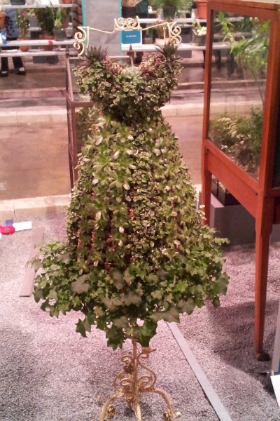 82.jpg - User comments