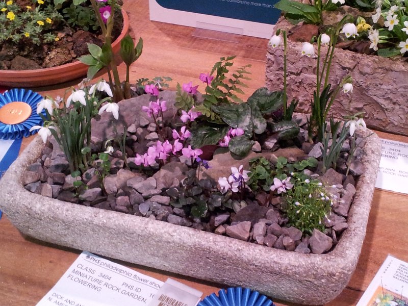 98.jpg - User comments