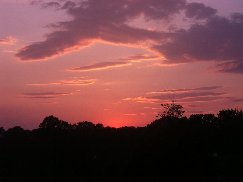 PICT2768-062205.JPG - KONICA MINOLTA DIGITAL CAMERA